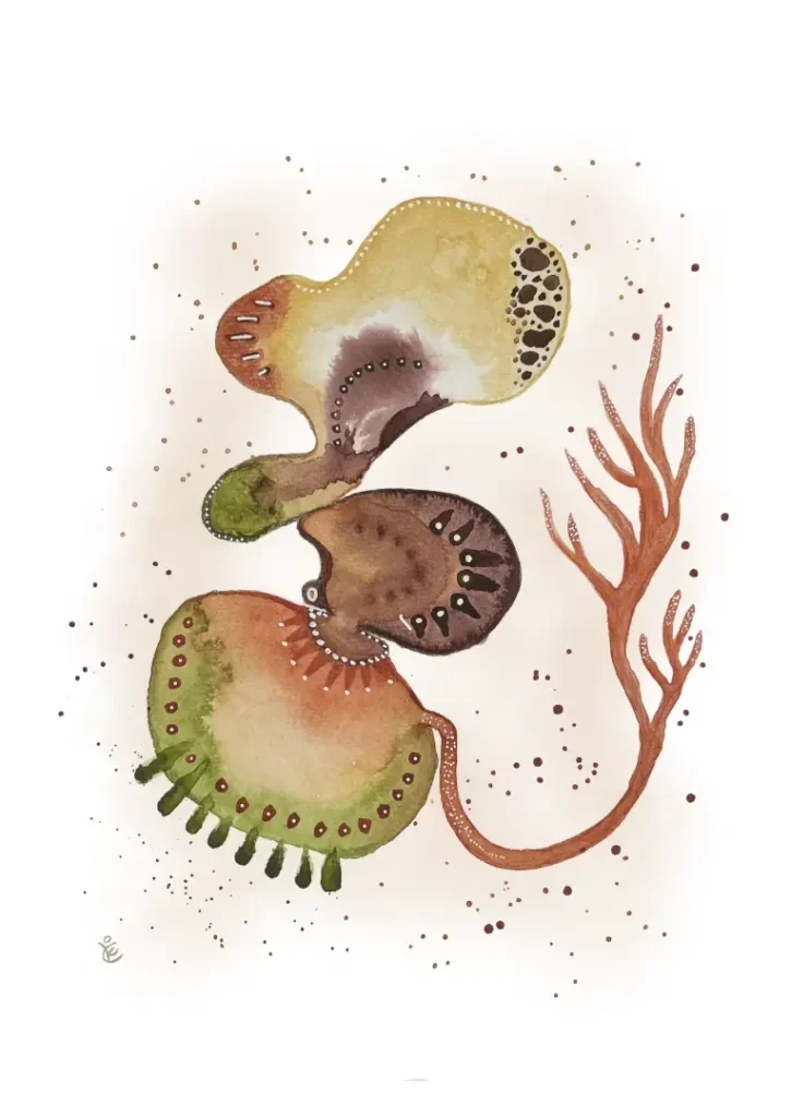 Aquarell Gribou 2